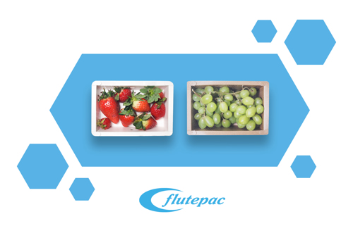 Image of two fruit containers on a blue branded background. Includes Flutepac logo.